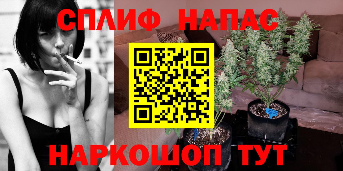 Шишки марихуана Bruce Banner  Вход с VPN  Шишки марихуана гибрид  МАРИХУАНА ГИДРОПОН  Россия 